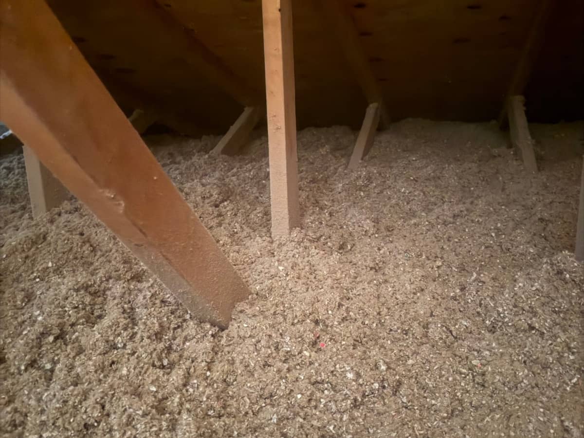 blown cellulose insulation